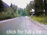 Hyder traffic ... a nonchallant horse